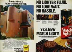 Better Homes & Gardens May 1980 Magazine Article: Page 43
