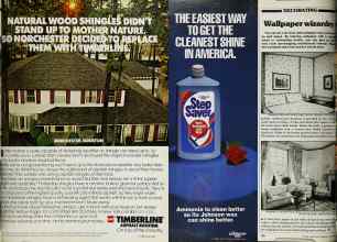 Better Homes & Gardens May 1980 Magazine Article: Page 119