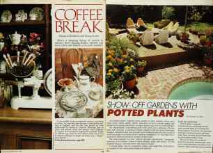 Better Homes & Gardens May 1980 Magazine Article: Page 133