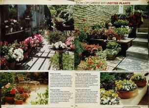 Better Homes & Gardens May 1980 Magazine Article: Page 135