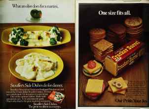 Better Homes & Gardens May 1980 Magazine Article: Page 171