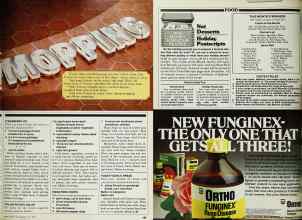 Better Homes & Gardens May 1980 Magazine Article: Page 183