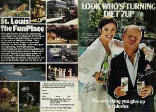 Better Homes & Gardens May 1980 Magazine Article: Page 207