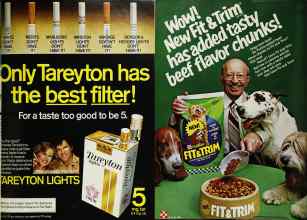 Better Homes & Gardens May 1980 Magazine Article: Page 229