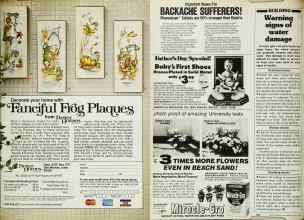 Better Homes & Gardens May 1980 Magazine Article: Page 233