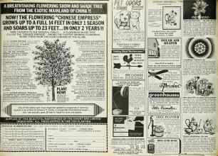 Better Homes & Gardens May 1980 Magazine Article: Page 237