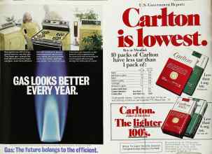 Better Homes & Gardens May 1980 Magazine Article: Page 243