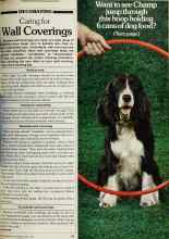 Better Homes & Gardens June 1980 Magazine Article: Caring for Wall Coverings