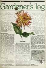 Better Homes & Gardens June 1980 Magazine Article: Gardener's log