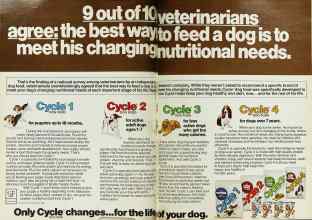 Better Homes & Gardens June 1980 Magazine Article: Page 34