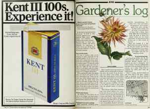 Better Homes & Gardens June 1980 Magazine Article: Page 58