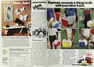 Better Homes & Gardens June 1980 Magazine Article: Page 88