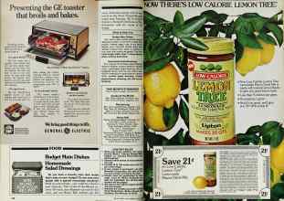 Better Homes & Gardens June 1980 Magazine Article: Page 140