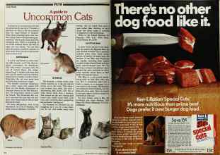 Better Homes & Gardens June 1980 Magazine Article: Page 152