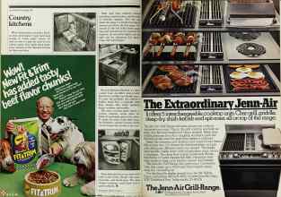 Better Homes & Gardens June 1980 Magazine Article: Page 160