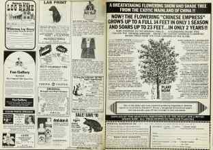 Better Homes & Gardens June 1980 Magazine Article: Page 178