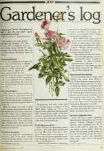 Better Homes & Gardens July 1980 Magazine Article: Gardener's log