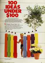 Better Homes & Gardens July 1980 Magazine Article: 100 IDEAS UNDER $100