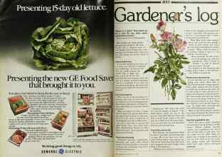 Better Homes & Gardens July 1980 Magazine Article: Page 52
