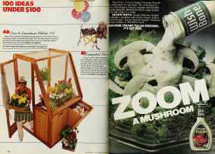 Better Homes & Gardens July 1980 Magazine Article: Page 70