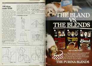 Better Homes & Gardens July 1980 Magazine Article: Page 130