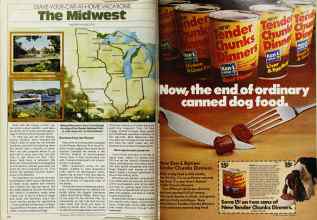 Better Homes & Gardens July 1980 Magazine Article: Page 146