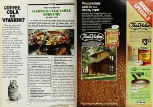 Better Homes & Gardens August 1980 Magazine Article: Page 6