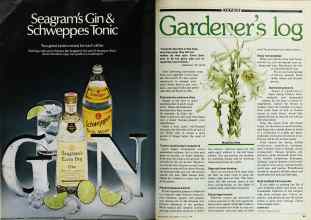Better Homes & Gardens August 1980 Magazine Article: Page 48