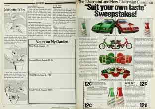 Better Homes & Gardens August 1980 Magazine Article: Page 50