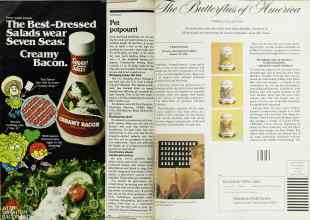 Better Homes & Gardens August 1980 Magazine Article: Page 58