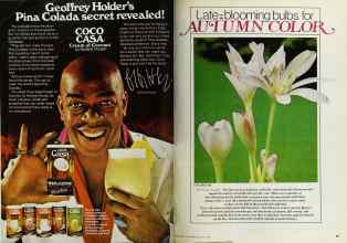 Better Homes & Gardens August 1980 Magazine Article: Page 68