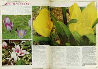 Better Homes & Gardens August 1980 Magazine Article: Page 70