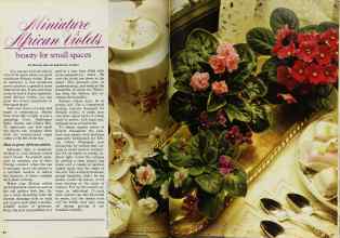 Better Homes & Gardens August 1980 Magazine Article: Miniature African Violets
