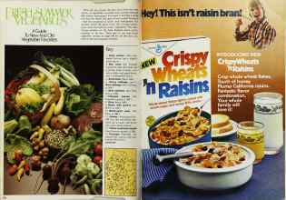 Better Homes & Gardens August 1980 Magazine Article: Page 100