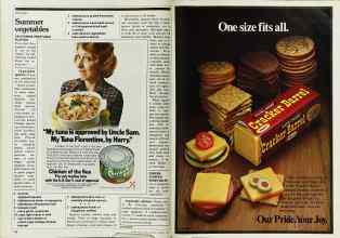 Better Homes & Gardens August 1980 Magazine Article: Page 116