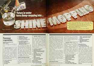 Better Homes & Gardens August 1980 Magazine Article: Page 124