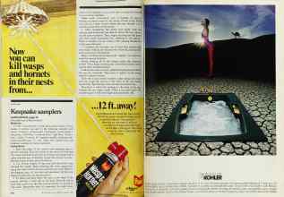 Better Homes & Gardens August 1980 Magazine Article: Page 146