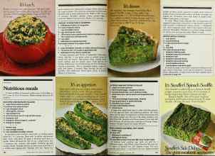 Better Homes & Gardens September 1980 Magazine Article: Page 124