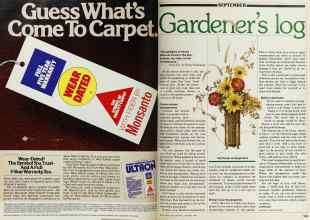 Better Homes & Gardens September 1980 Magazine Article: Page 142