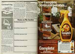 Better Homes & Gardens September 1980 Magazine Article: Page 144