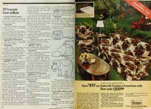 Better Homes & Gardens September 1980 Magazine Article: Page 156