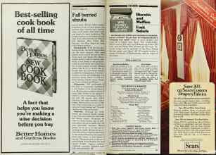 Better Homes & Gardens September 1980 Magazine Article: Page 166