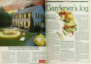 Better Homes & Gardens October 1980 Magazine Article: Page 98
