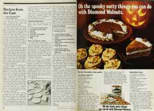 Better Homes & Gardens October 1980 Magazine Article: Page 158