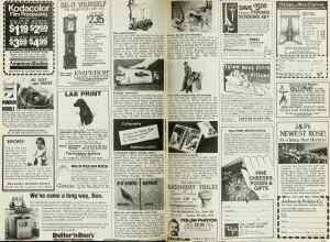 Better Homes & Gardens October 1980 Magazine Article: Page 214