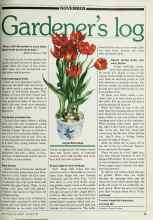 Better Homes & Gardens November 1980 Magazine Article: Gardener's log
