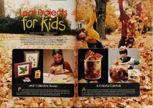 Better Homes & Gardens November 1980 Magazine Article: Leaf Projects for Kids