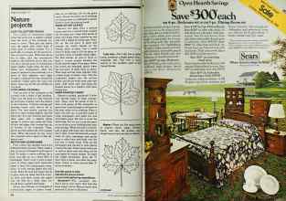 Better Homes & Gardens November 1980 Magazine Article: Page 180