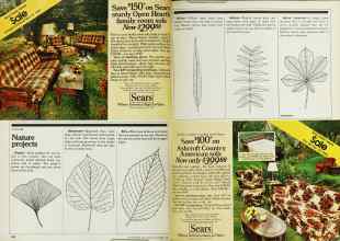 Better Homes & Gardens November 1980 Magazine Article: Page 182