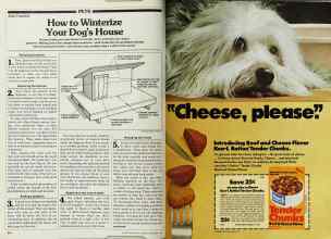 Better Homes & Gardens November 1980 Magazine Article: Page 214